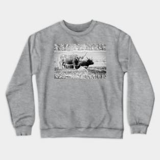 Highland cattle cows family on pasture Crewneck Sweatshirt